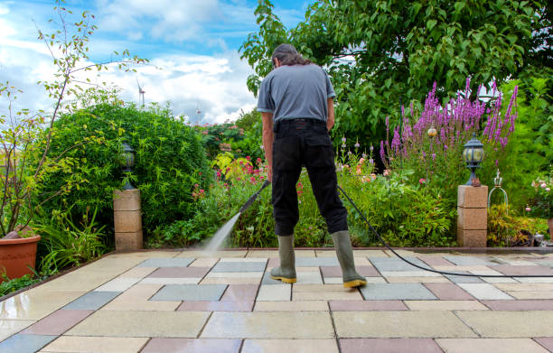 Professional Pressure Washing Services in De Soto, IL